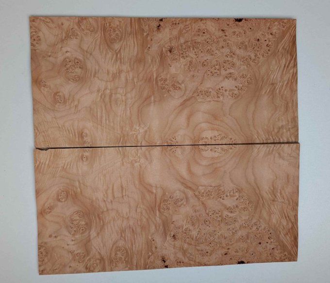 Loupe d'Erable placages.fr