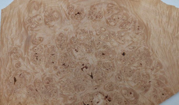 Loupe d'Erable placages.fr