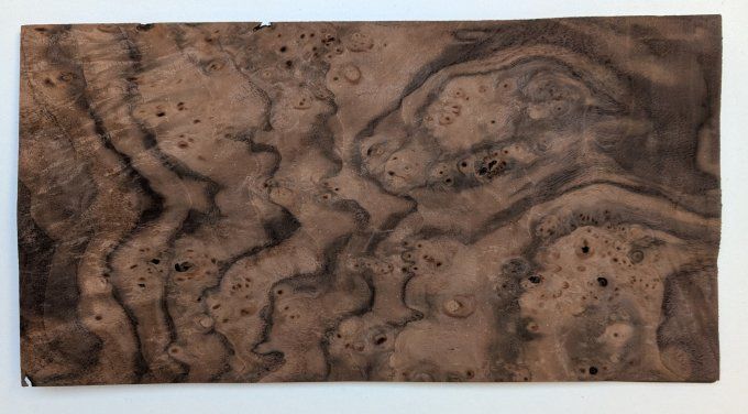 Loupe de Noyer placages.fr