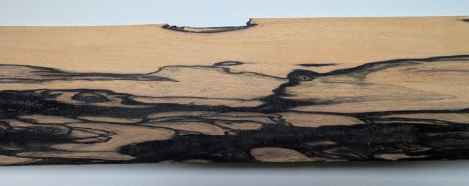 Ebène blanc placages.fr