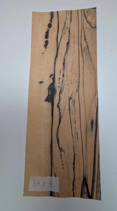 Ebène blanc placages.fr