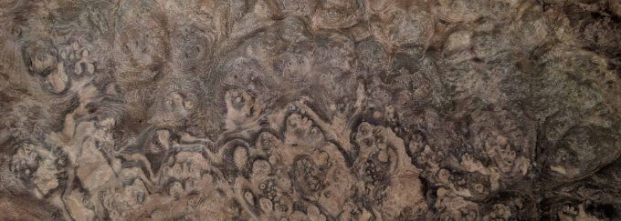 Loupe de Noyer  placages.fr