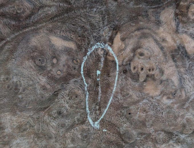 Loupe de Noyer  placages.fr