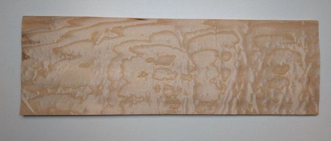 Frêne pommelé 66 x 21 cm  L247