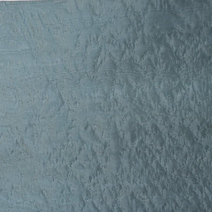 Erable moucheté bleu ciel 62 x 36 cm ép 0.6 mm         