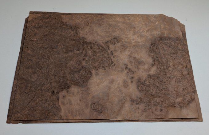 Loupe de Noyer 50 x 32 cm L61