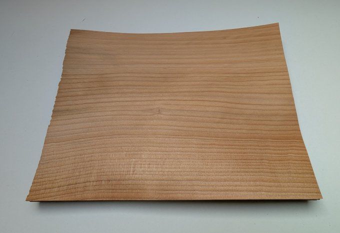 Cédre du Liban 38 x 31 cm ép 0.6 mm (55)