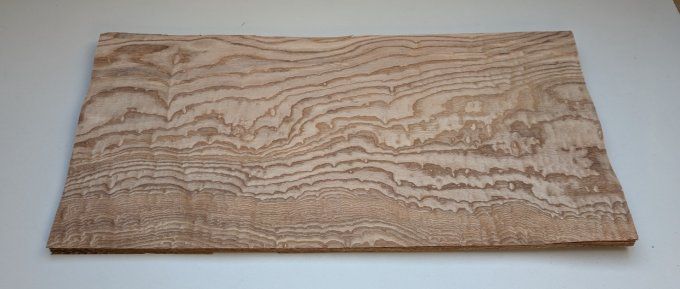 Frêne du Japon ( Tamo ) 75 x 34 cm ép 0.6 mm (95)
