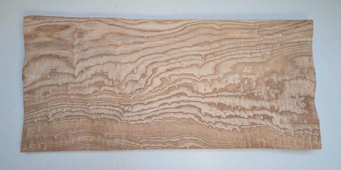 Frêne du Japon ( Tamo ) 75 x 34 cm ép 0.6 mm (95)