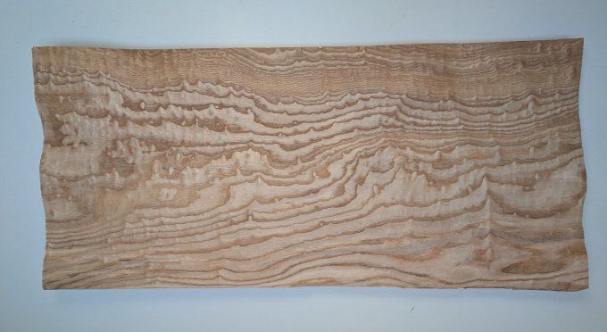 Frêne du Japon ( Tamo ) 75 x 34 cm ép 0.6 mm (95)