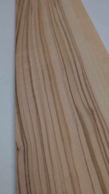 Lot 4x Olivier d'Italie 70 x 10 cm ép 0.6 mm (101)