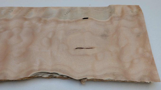 Paquet complet 24x Erable pommelé ép 0.6 mm (57)