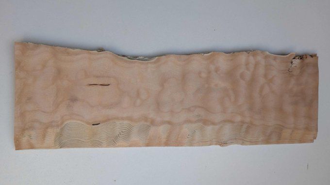 Paquet complet 24x Erable pommelé ép 0.6 mm (57)