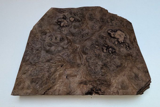 Lot 11x Loupe de Noyer 24 x 18 cm ép 0.6 mm (3)