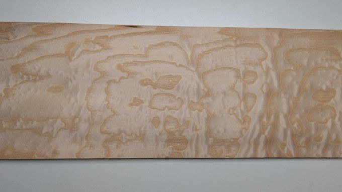 Frêne pommelé 66 x 21 cm  L247