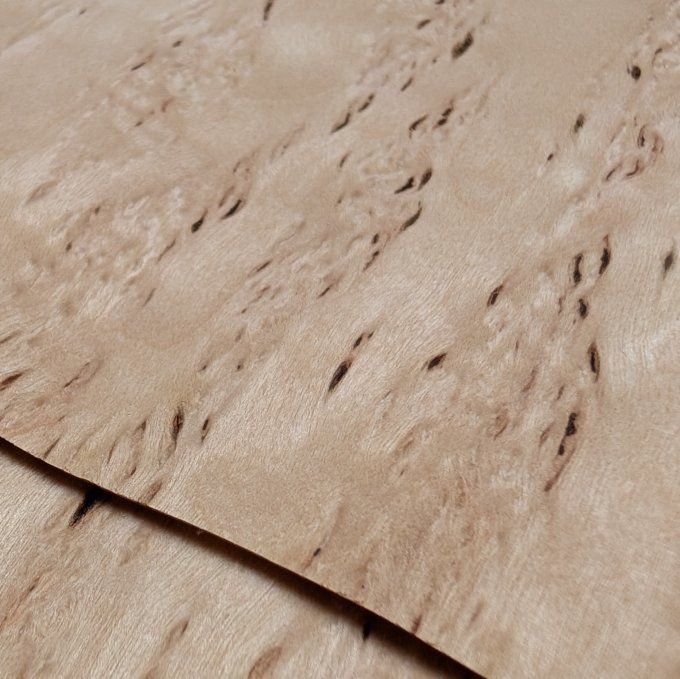 Bouleau madré 40 x 40 cm ép 0.6 mm (50B)