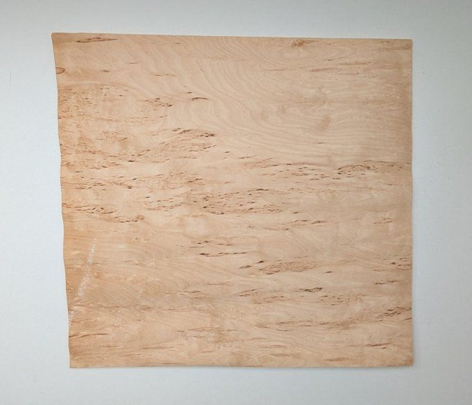 Bouleau madré 40 x 40 cm ép 0.6 mm (50B)