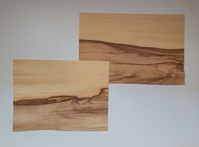 Lot 2x Chenchen 35 x 25 cm ép 0.6 mm (110)