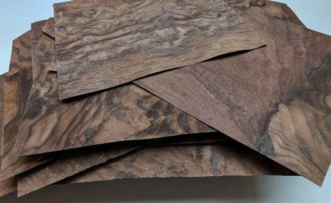 Lot plusieurs feuilles de Loupe de Noyer (333 g)  ép 0.6 mm D5