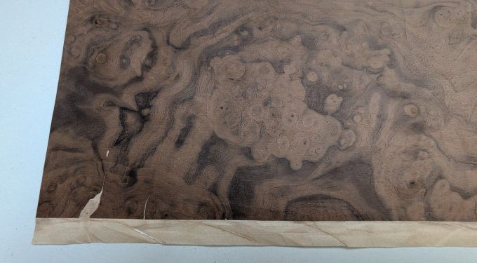 Loupe de Noyer 54 x 29 cm sur support non tissé ép 0.4 mm (F)   