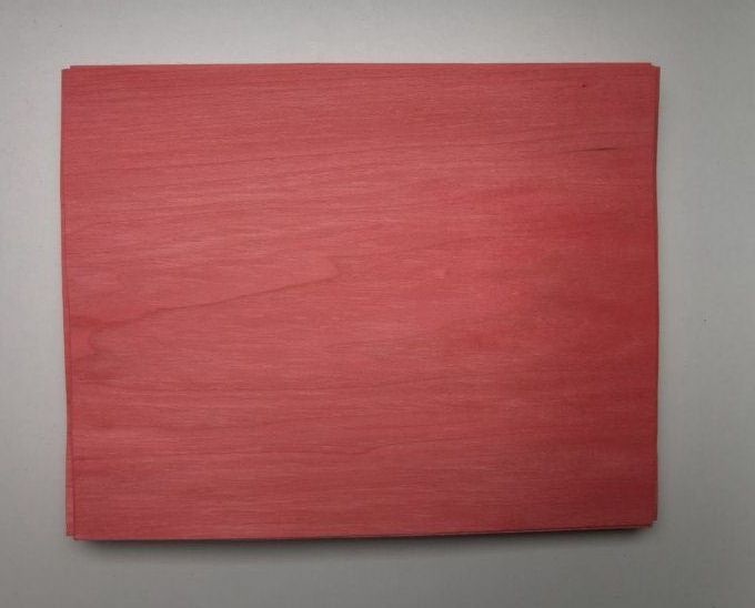 Tulipier teinté rose  25 x 30 cm   